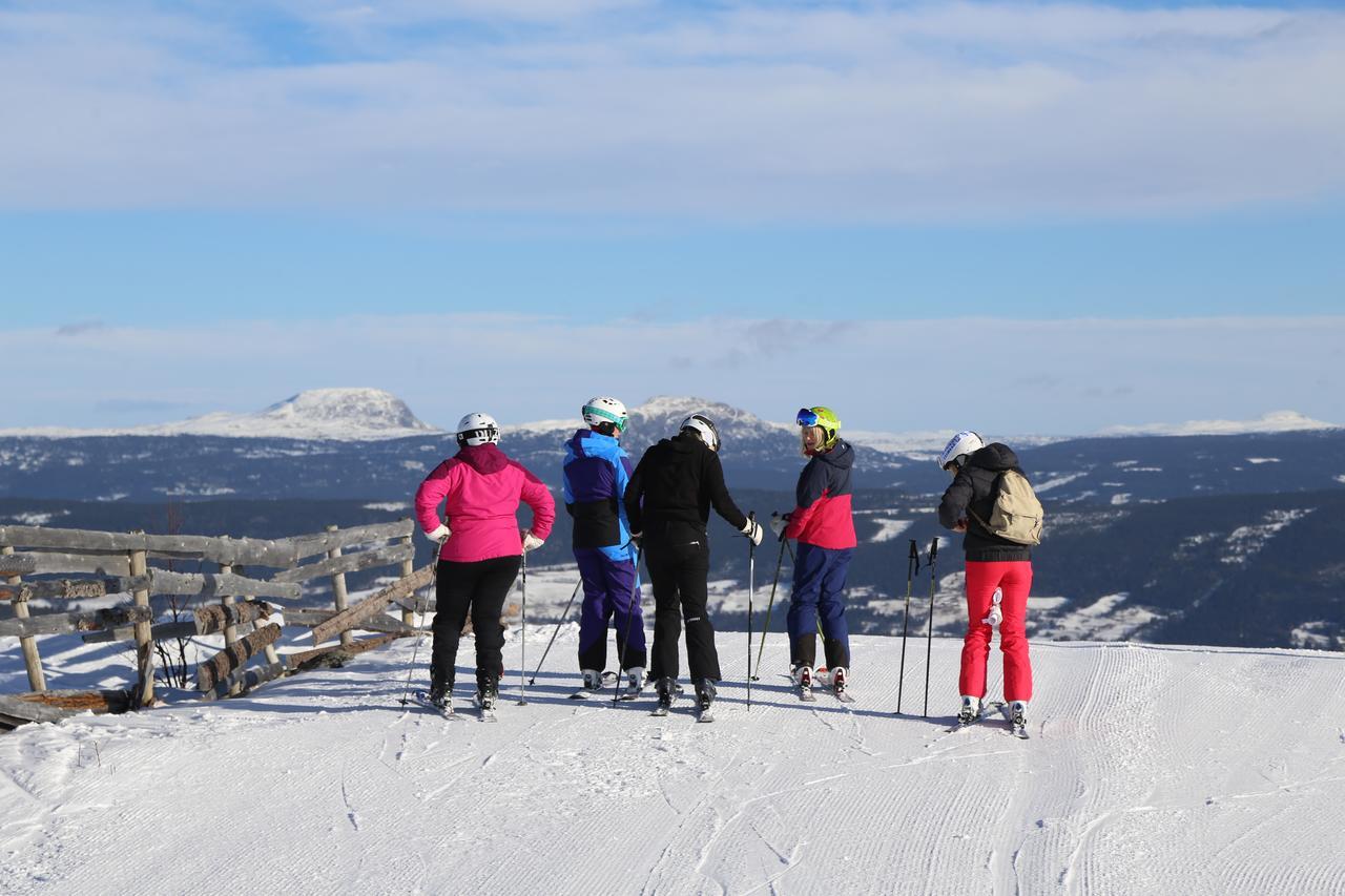 Gomobu Fjellstue Hotel Ron Buitenkant foto