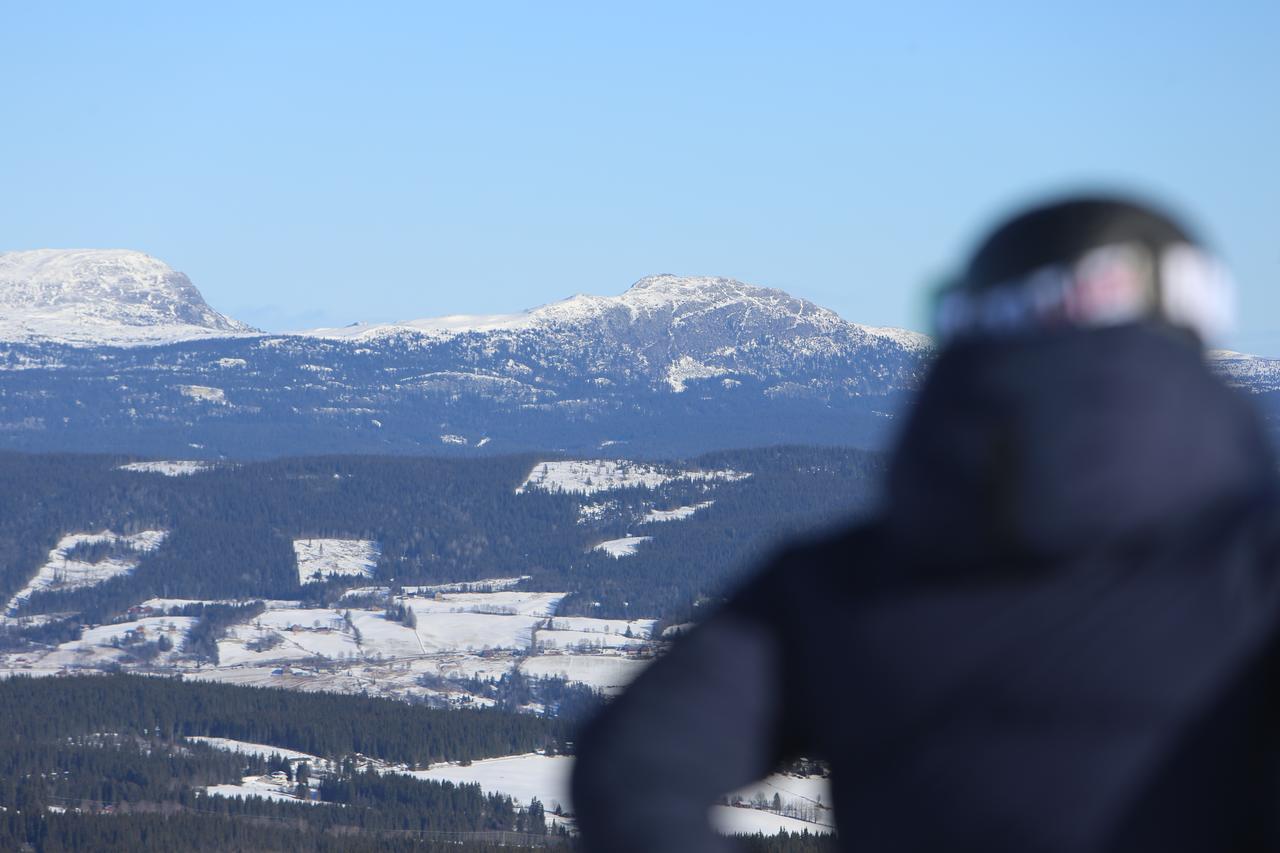 Gomobu Fjellstue Hotel Ron Buitenkant foto