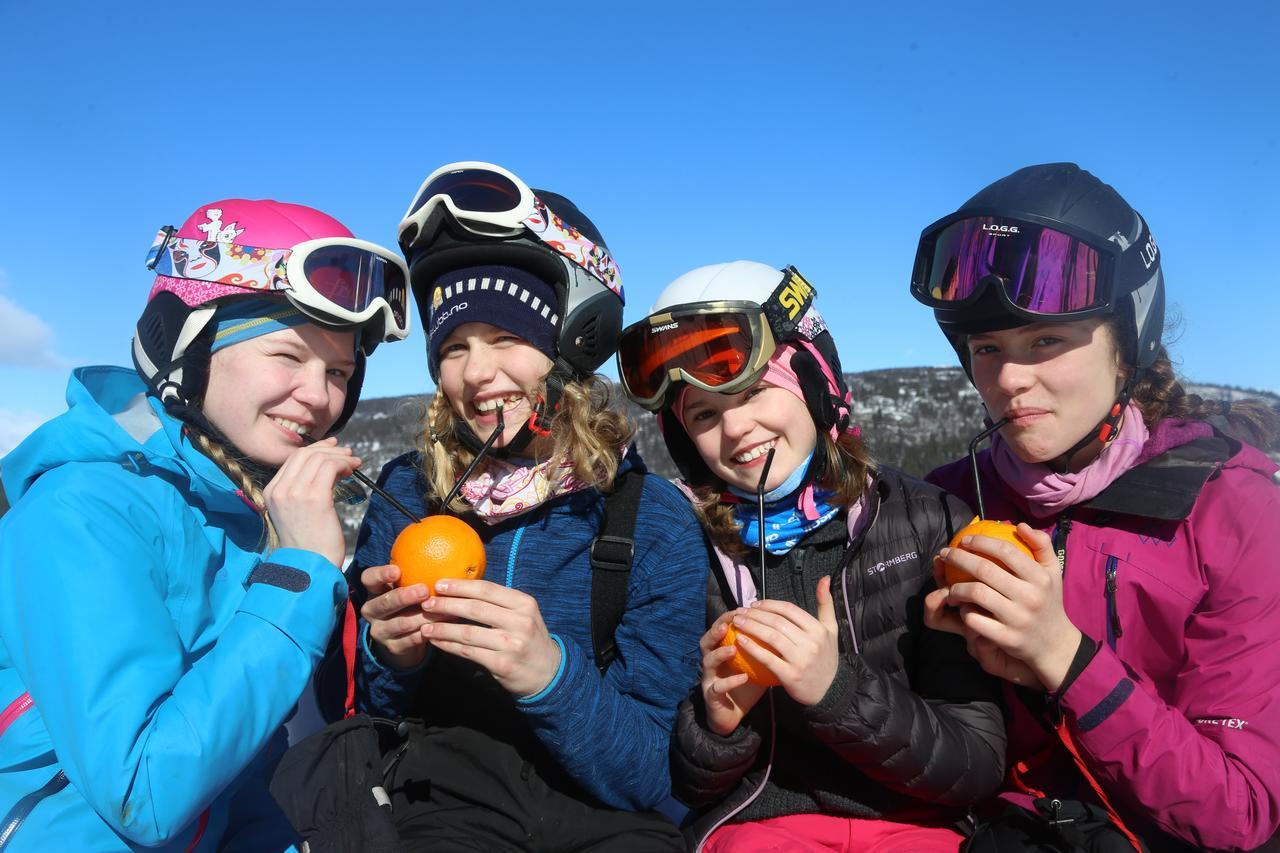Gomobu Fjellstue Hotel Ron Buitenkant foto