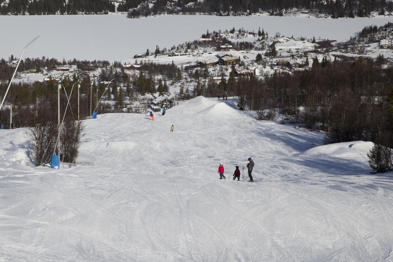 Gomobu Fjellstue Hotel Ron Buitenkant foto